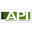 API 1